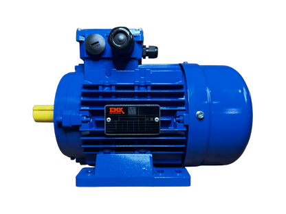 EMK Elektromotor KAE2A90S-2B3E3K