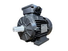 Sintec Elektromotor Typ A3-100L2-24
